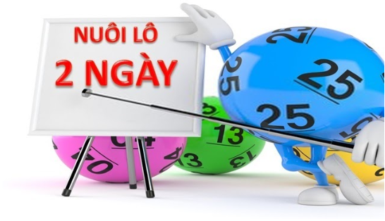Nuôi Lô Kép Khung 2 Hay88 – Kỹ Thuật Và Quản Lý Vốn 3 image 3