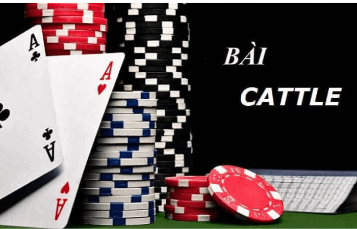 Hướng Dẫn Chơi Bài Catte Hay88 – Luật Chơi Và Chiến Thuật 1 image 58